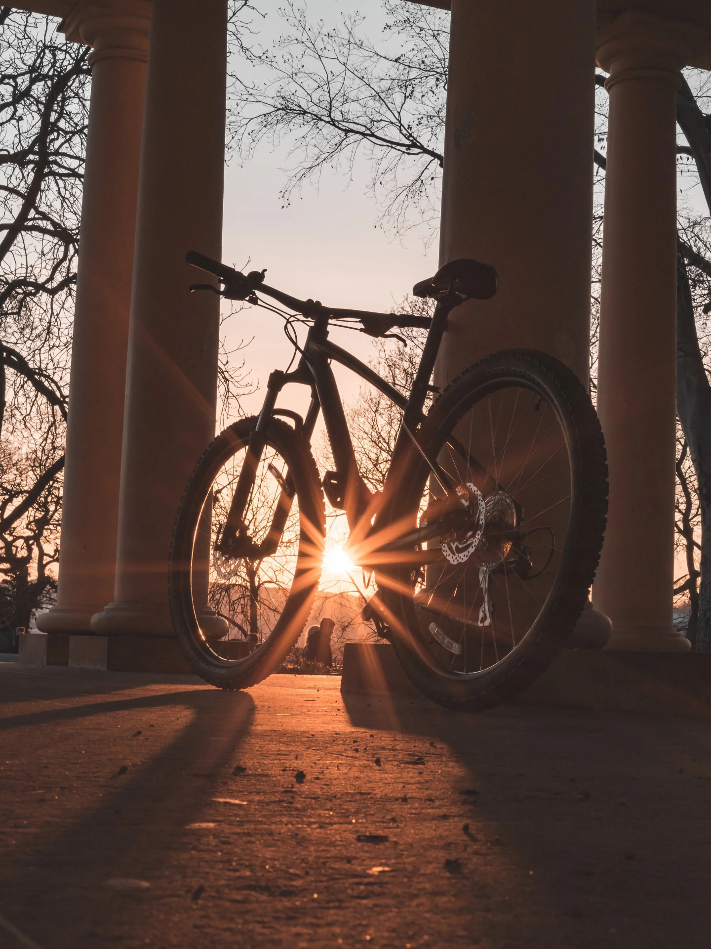 Bicycles provided for Bible Workers in Asia